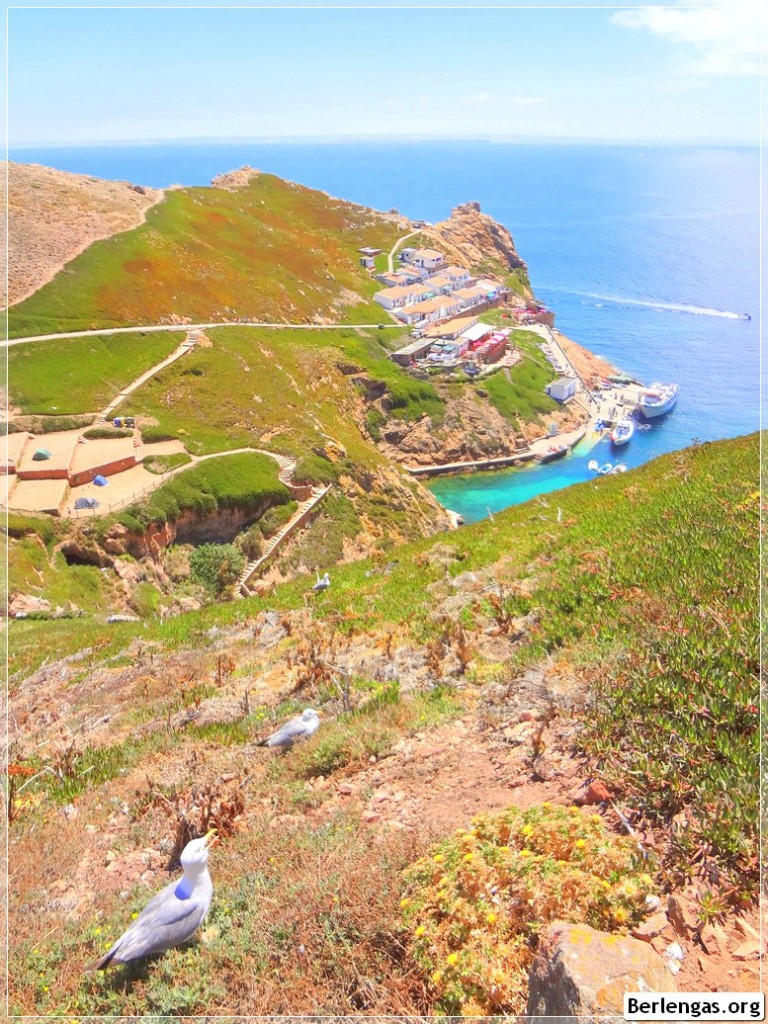 The Bairro dos Pescadores in the Arquipélago das Berlengas