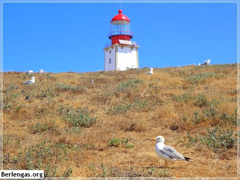 Berlanga lighthouse