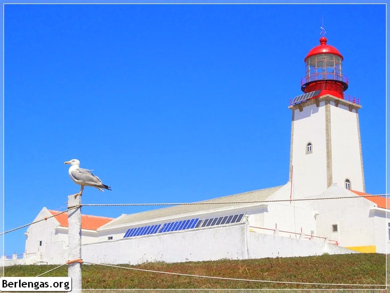 Duke of Bragança Lighthouse Berlenga Lighthouse