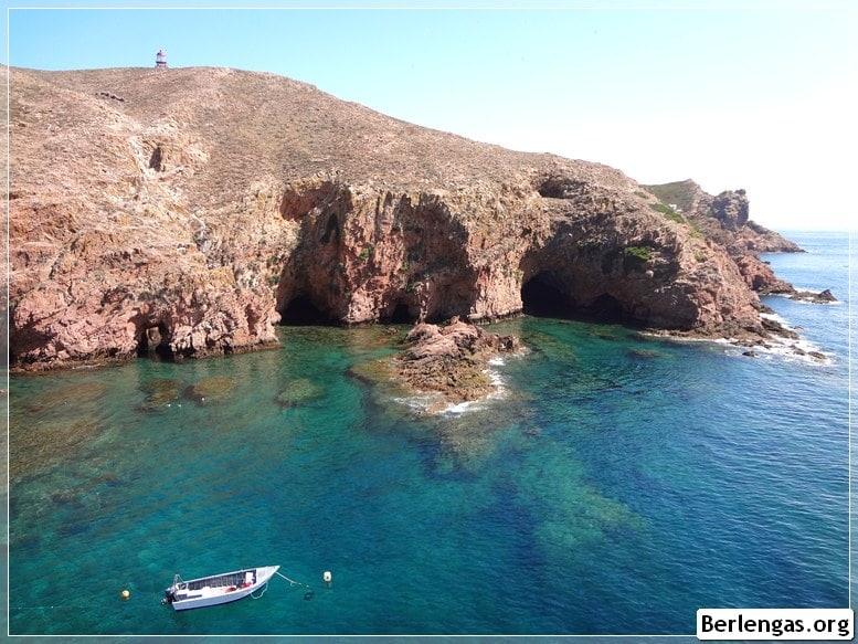 Fazer mergulho nas Berlengas