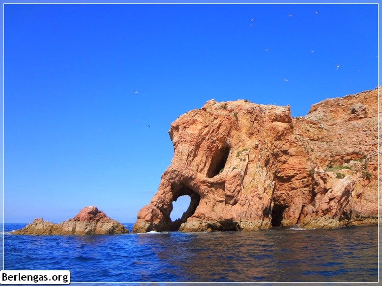 Explorar as grutas das Berlengas de barco