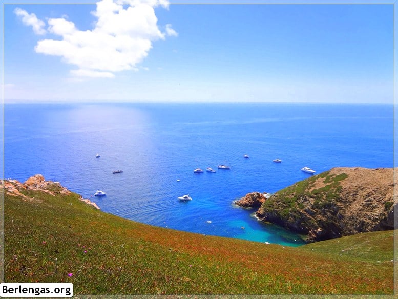 Linda paisagem nas Berlengas