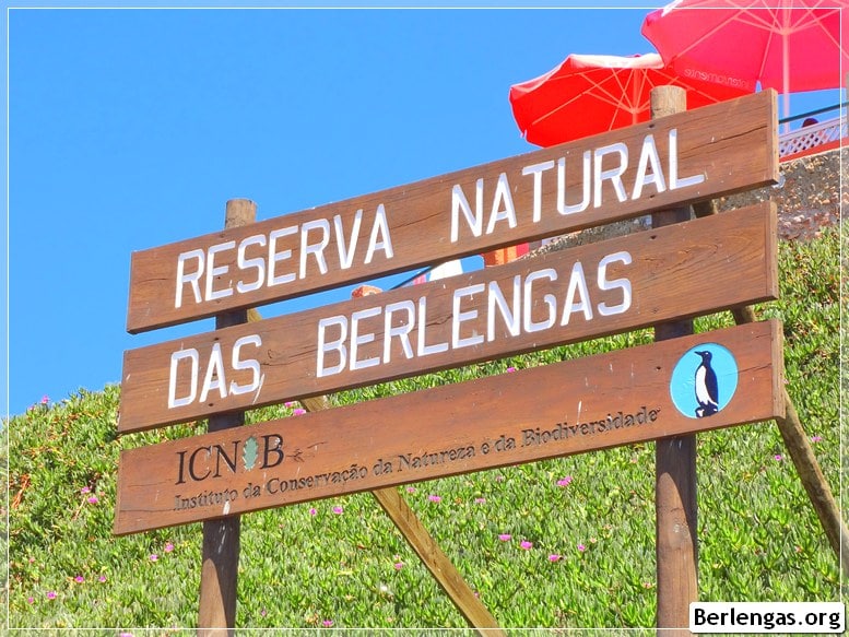 Berlengas Portugal Reserva Natural das Berlengas