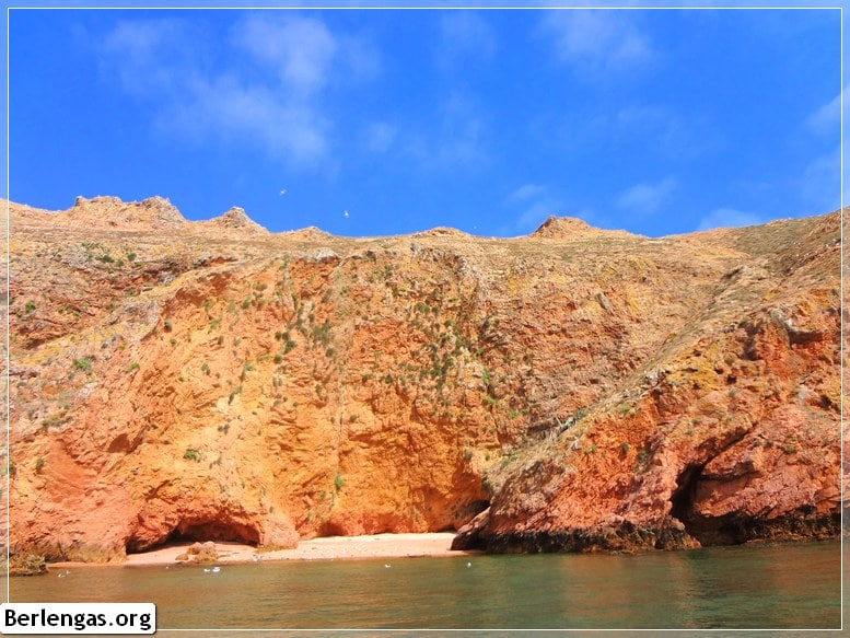 Visitar Berlengas