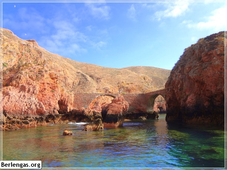 Visitar Berlengas