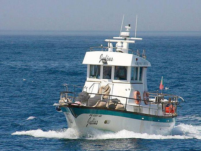 Boat in Berlengas