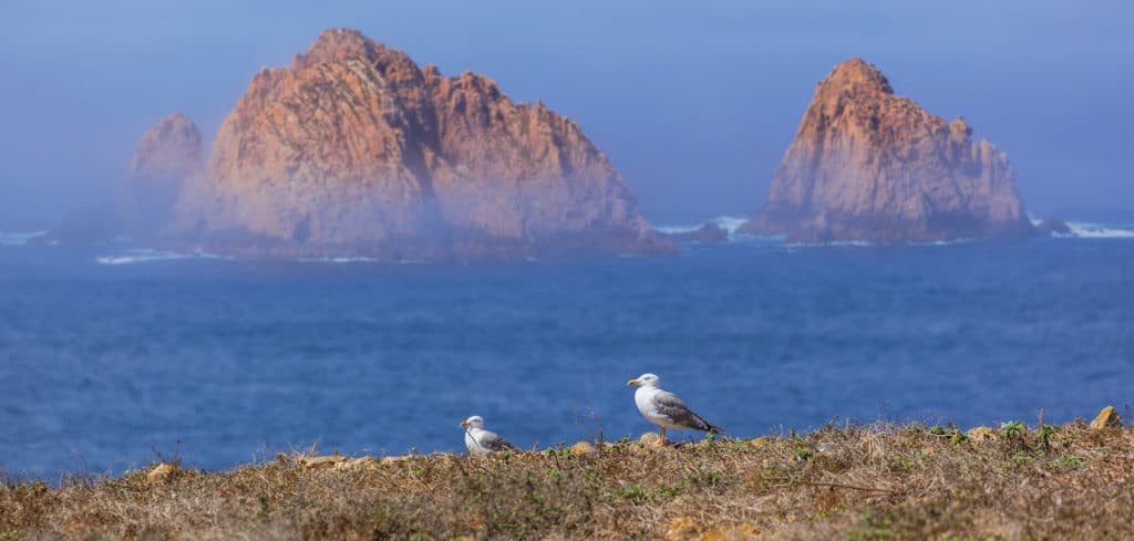 BERLENGAS PHOTOS