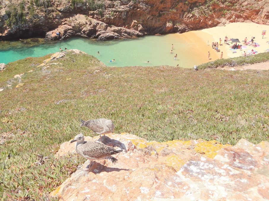 Playa en Berlengas