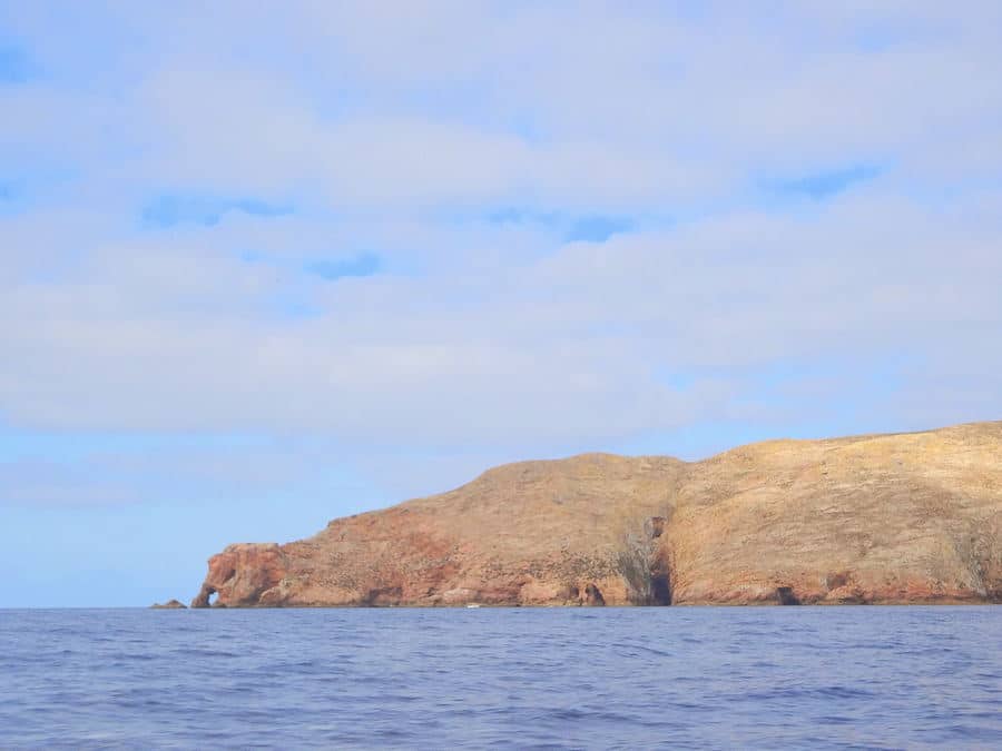 First sighting of the Berlengas Archipelago