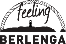 feelingberlenga